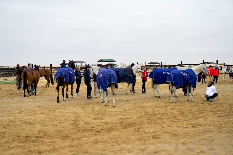 Highlights (21 of 231)_resized.jpg